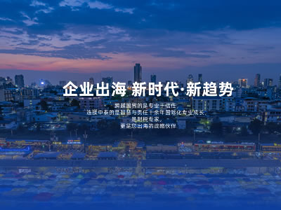 大连网站建设-签约中鑫财税集团官网建设