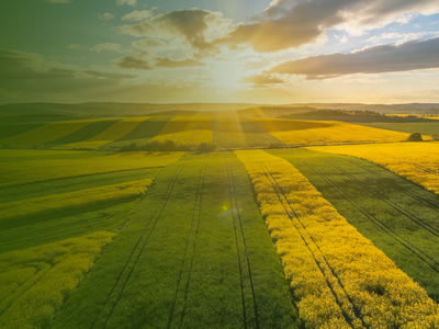 大连网站建设-签约华恩有机英文独立站